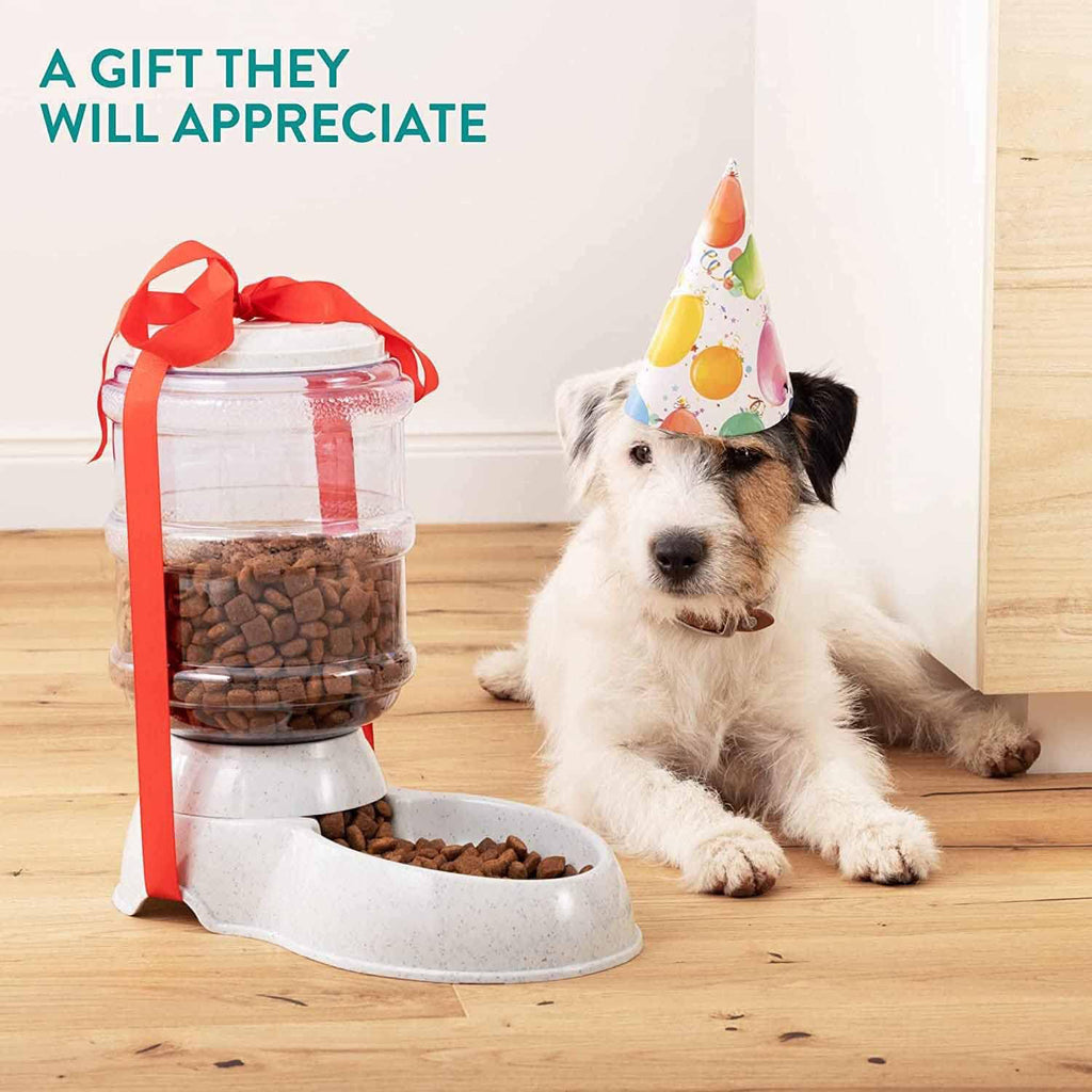 Pet Feeder Food Dispenser - Automatic Gravity Dry Food Storage Bottle