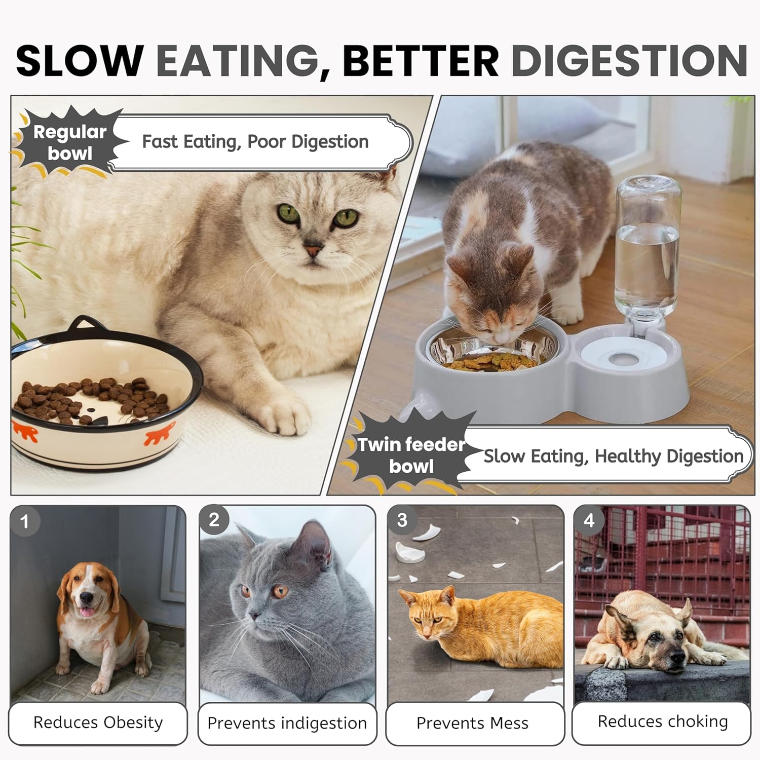 2in1 Pet Feeding Bowl and Water Bottle Set for Puppies and Cats | Stainless Steel Bowl